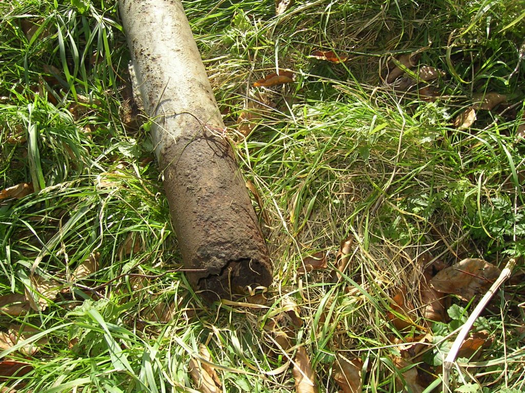 sany3499.jpg