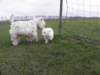 aktiedag20101019_small.jpg