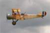 dutchdawnpatrol_2011061_small.jpg