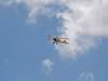 dutchdawnpatrol_2011072_small.jpg