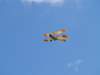 dutchdawnpatrol_2011073_small.jpg