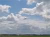 dutchdawnpatrol_2011076_small.jpg