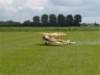 dutchdawnpatrol_2011079_small.jpg