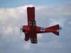 dutchdawnpatrol_2011102_small.jpg