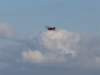 dutchdawnpatrol_2011111_small.jpg