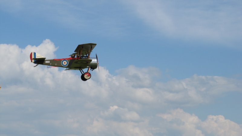 img_0504.jpg