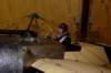 dsc09570_small.jpg