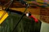 dsc09571_small.jpg