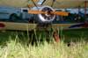 dsc09610_small.jpg