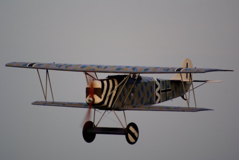 dsc09678.jpg