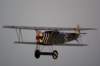 dsc09678_small.jpg