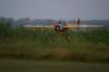 dsc09691_small.jpg