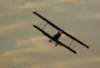 dsc09720_small.jpg