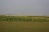 dsc09740_small.jpg