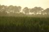 dsc09742_small.jpg