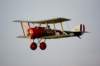 dsc09763_small.jpg
