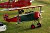 dsc09765_small.jpg