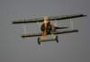 dsc09778_small.jpg
