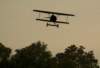 dsc09783_small.jpg