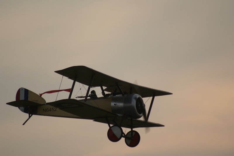 dsc09812.jpg