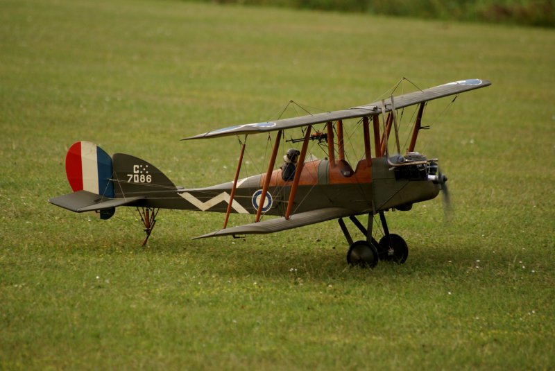 dsc09829.jpg
