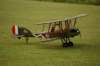 dsc09829_small.jpg
