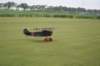 dsc09841_small.jpg