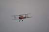 dsc01095_small.jpg