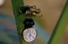dsc01173_small.jpg