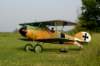 dsc01209_small.jpg