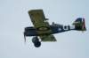 dsc01245_small.jpg
