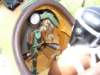 dscf4401_small.jpg
