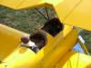 dscf4420_small.jpg