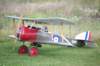 g2a4127_small.jpg