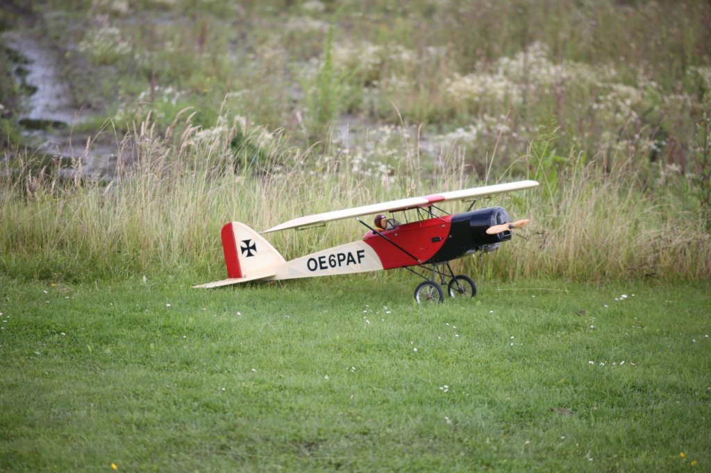 g2a4217.jpg