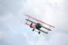 g2a4306_small.jpg