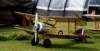 dsc02329_small.jpg