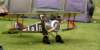 dsc02338_small.jpg