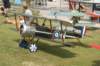 dsc02527_small.jpg
