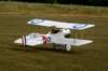 dsc02544_small.jpg