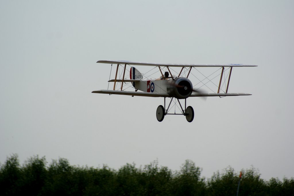 dsc02554.jpg