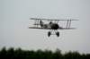 dsc02554_small.jpg