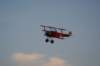 dsc02588_small.jpg