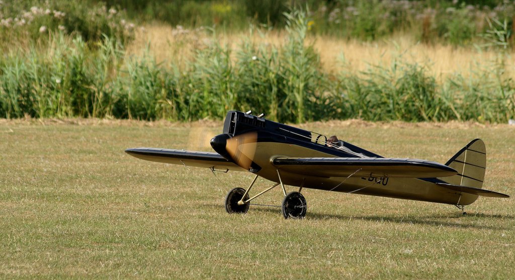 dsc02643.jpg