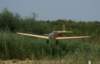 dsc02653_small.jpg