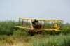 dsc02680_small.jpg