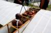 dsc02686_small.jpg