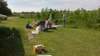 wp_20180512_15_57_52_pro_small.jpg