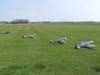 dscf4247_small.jpg
