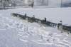 dsc04983_small.jpg